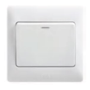 Intermediate Switch P21X (P1 Series)