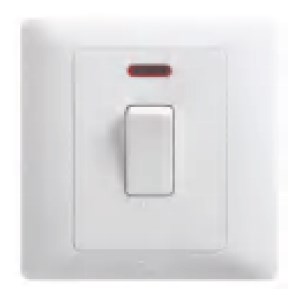 1 Gang DP Switch With Neon P220DSL (P1 Series)